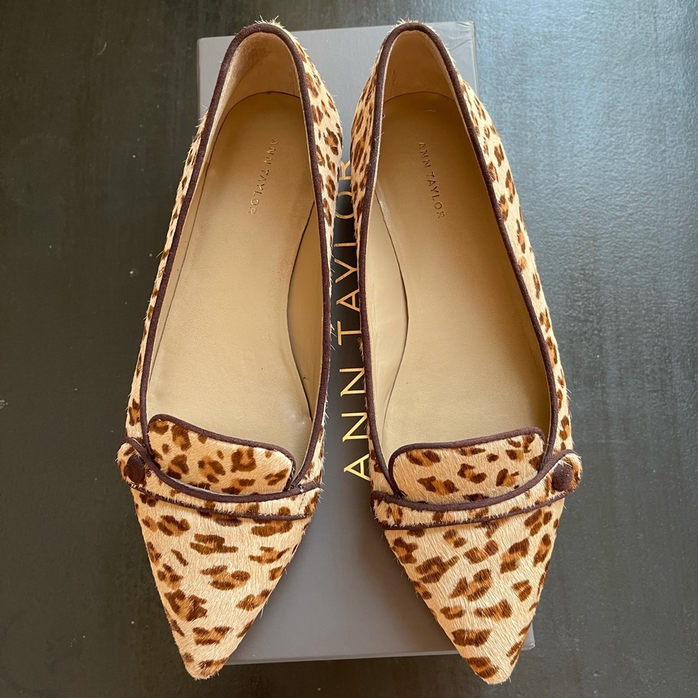 Ann Taylor pointy toe loafers